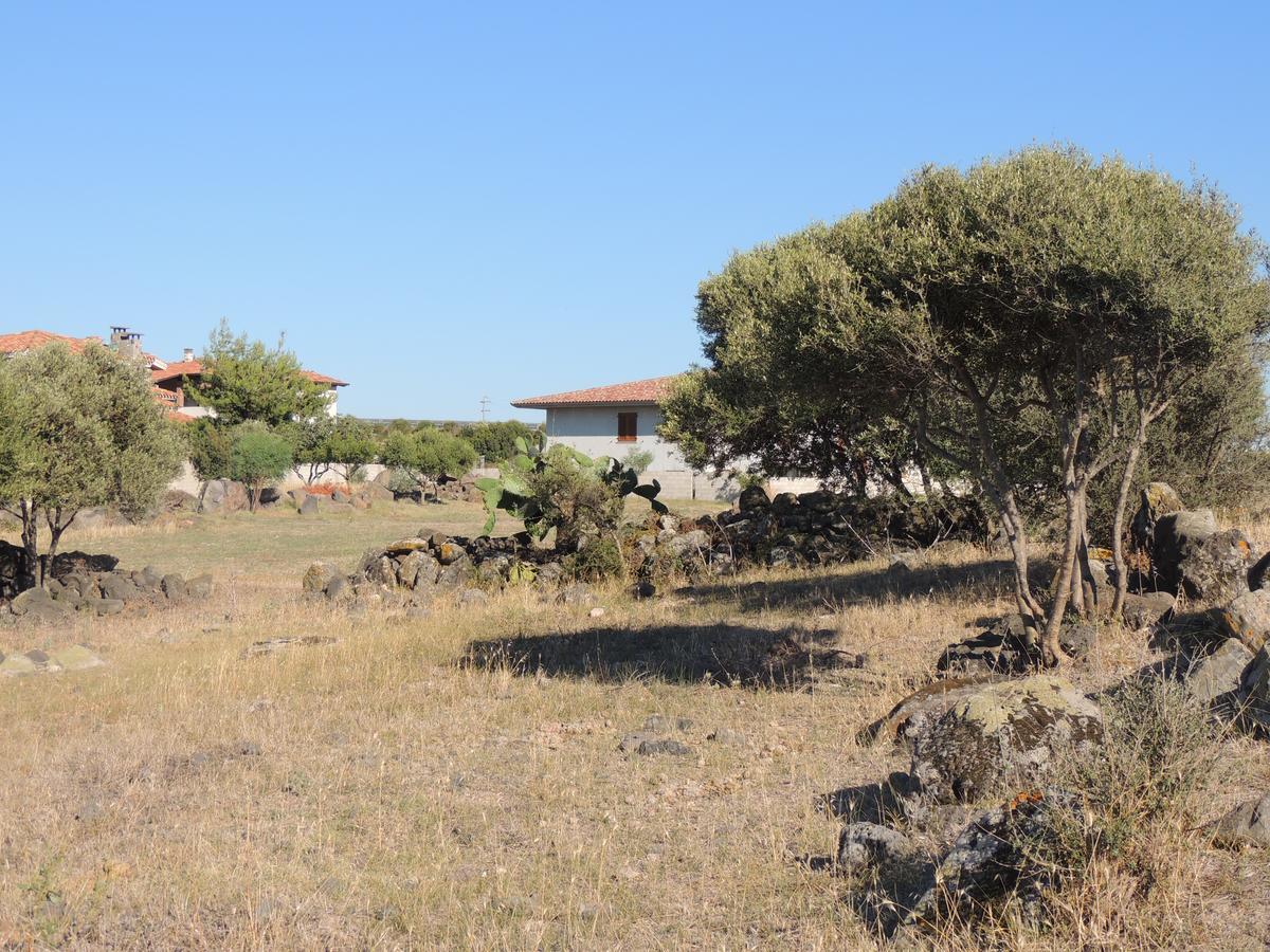 Il Nuraghe Bed & Breakfast Uras Exterior photo