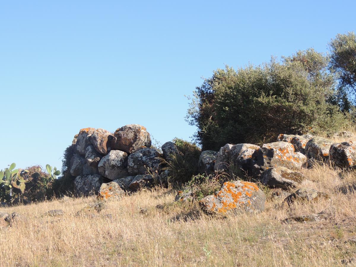 Il Nuraghe Bed & Breakfast Uras Exterior photo